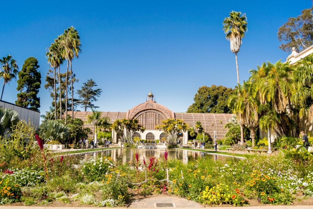 Lush botanical park of Balboa