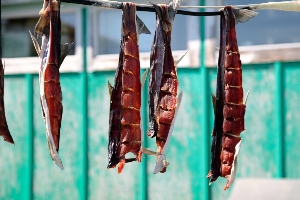 Salmon freshly caught in Greenland