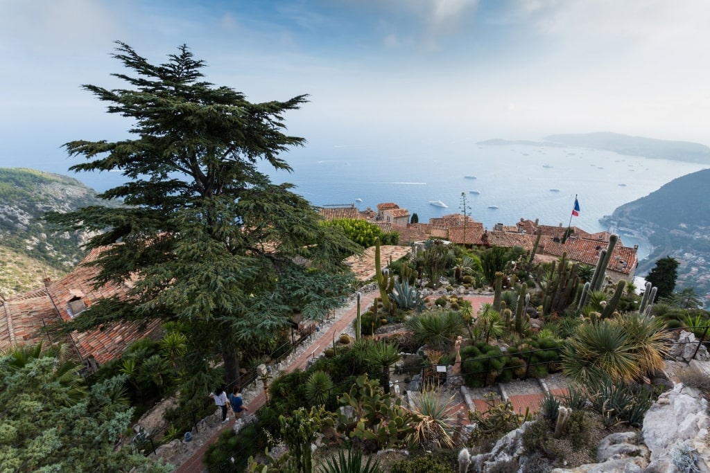 Aerial view of Eze village