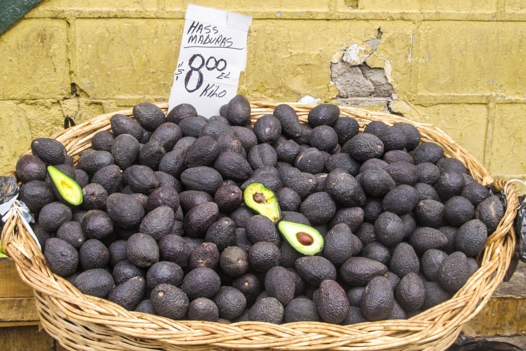 Avocado for sale at the El Cardonal Market