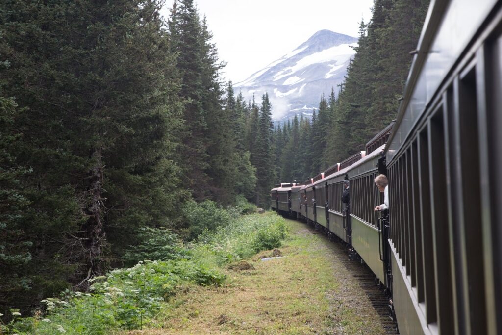 Train passing along the woods in Alaska
