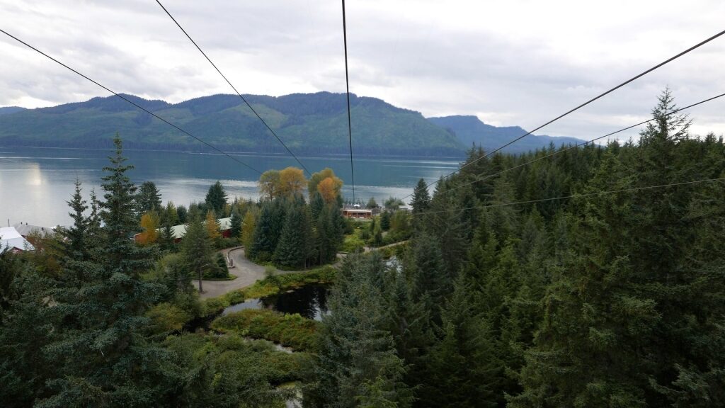 View from the ZipRider in Icy Strait Point