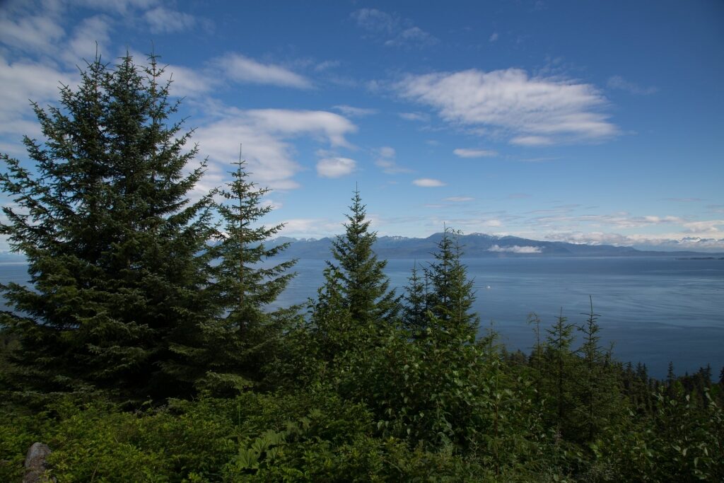 View from ZipRider Cable Car Adventure