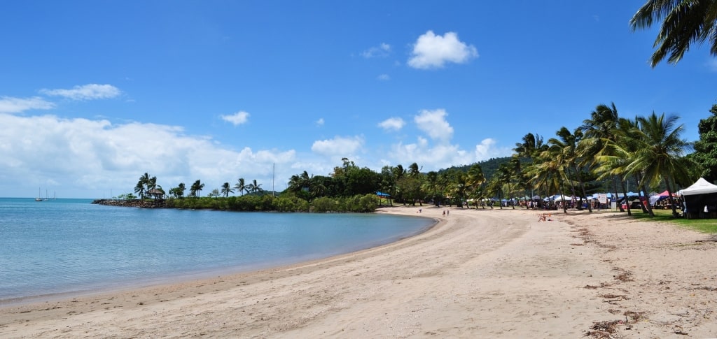 Fine white sands of Airlie Bay, Airlie Beach