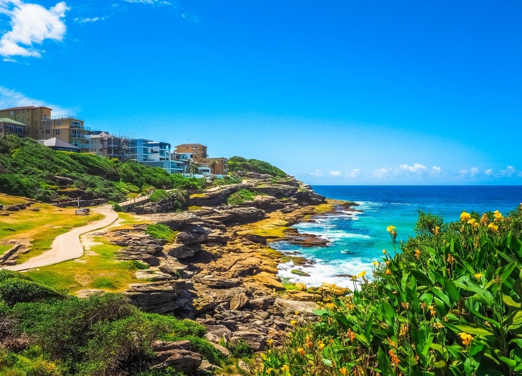 Popular Coogee walk near Bondi Beach