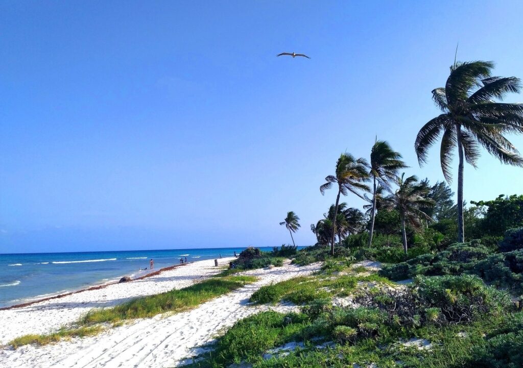 Quiet beach of Playa Punta Esmeralda, Playa del Carmen