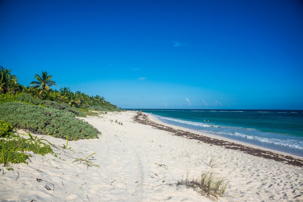 Long stretch of sand of Xcacel Beach, Tulum