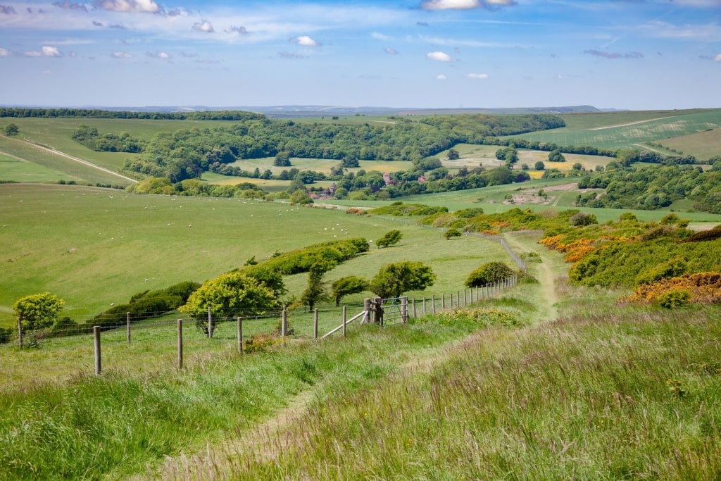 Lush landscape of South Downs Way, near Southampton