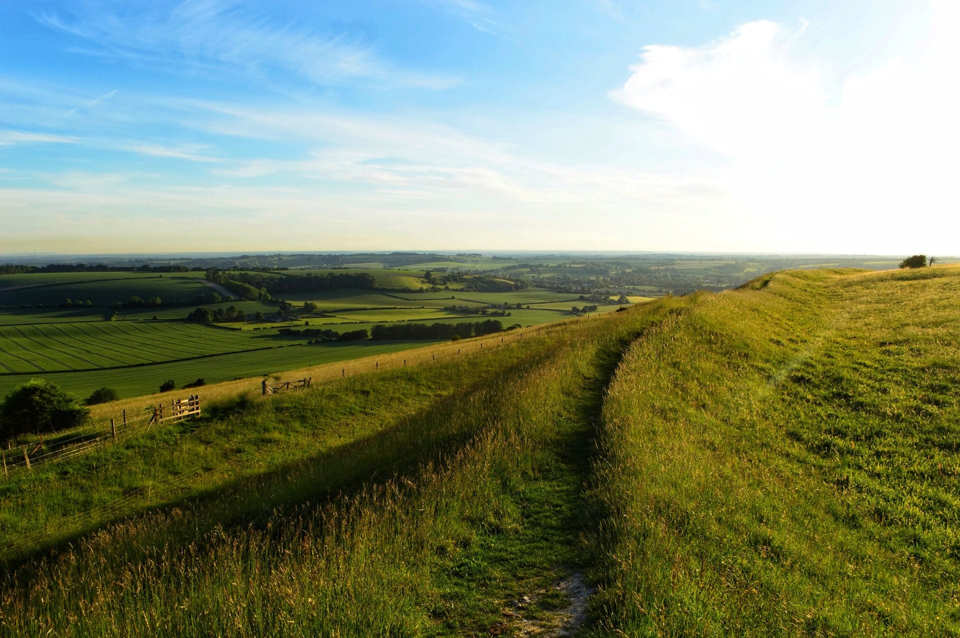Ring-ditch in Loughmain