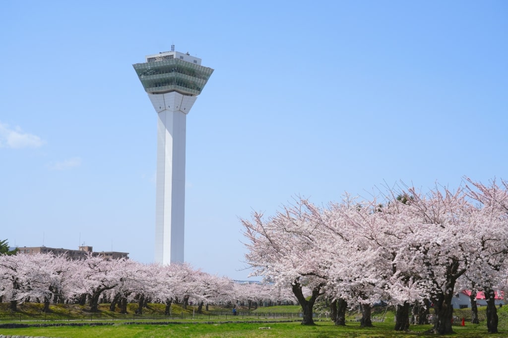 Landscape of Goryokaku Tower during spring