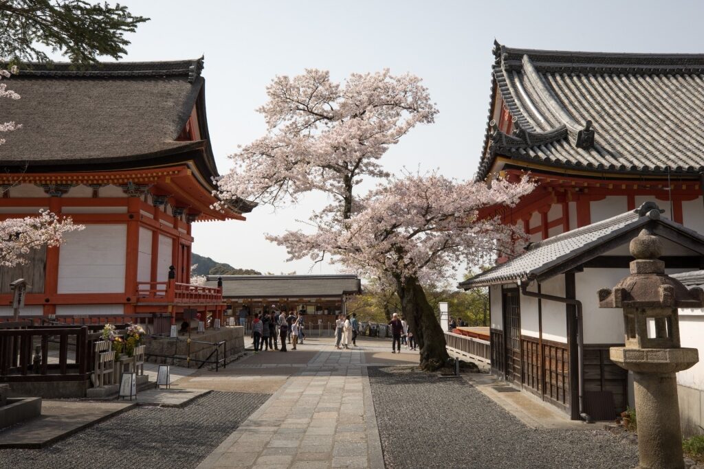 People exploring Kiyomizu-dera Temple, Kyoto