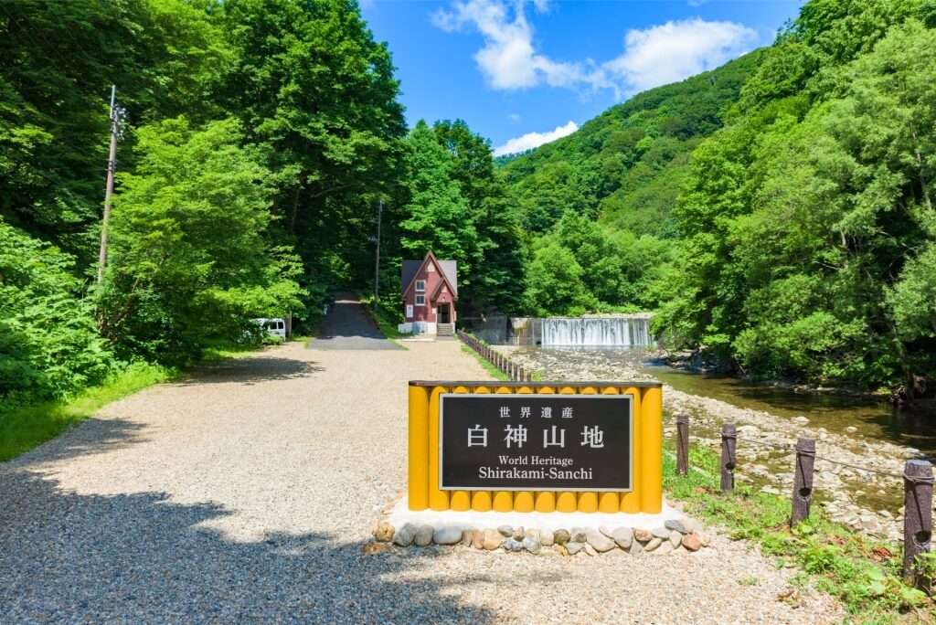 Lush landscape in Shirakami-Sanchi, Aomori
