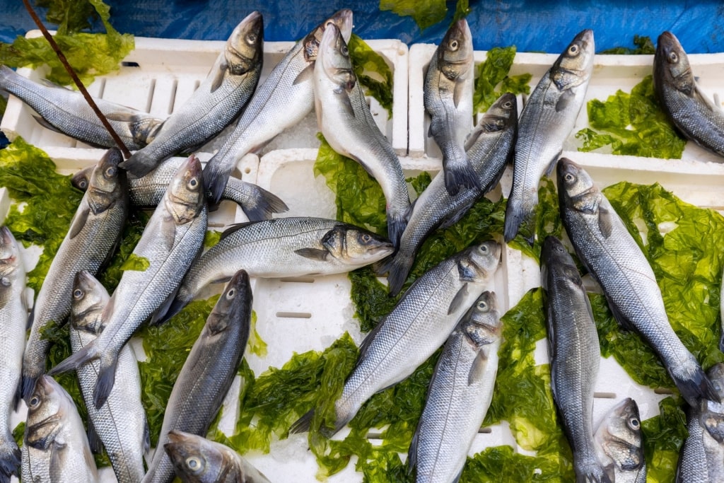 Fish stall in Mercato di Porta Nolana, Naples