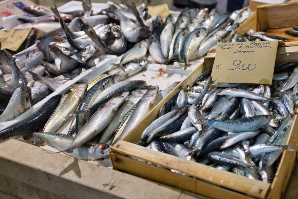 Fish for sale at the Mercato di San Benedetto, Cagliari