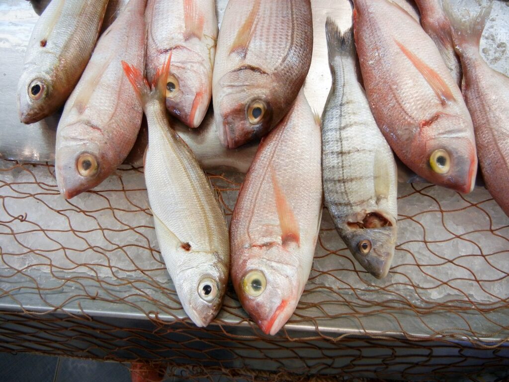 Fresh fish at the Mercato Ortigia, Syracuse