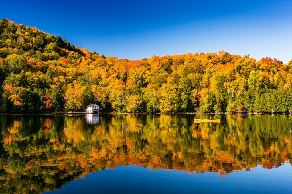 View of St. Lawrence River, Quebec City in the fall