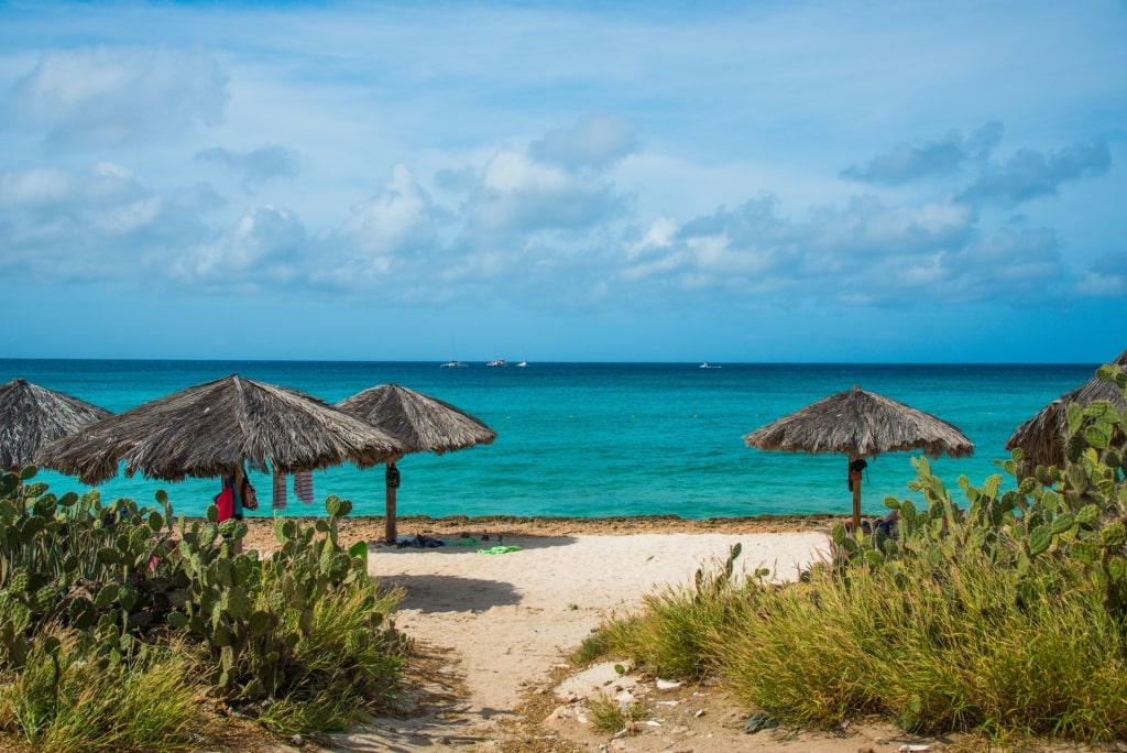 Palapa huts lined up in Arashi Beach