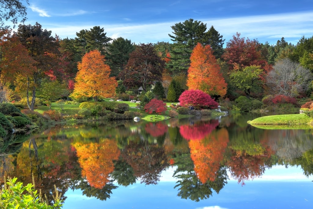 Fall foliage in Asticou Azalea Garden