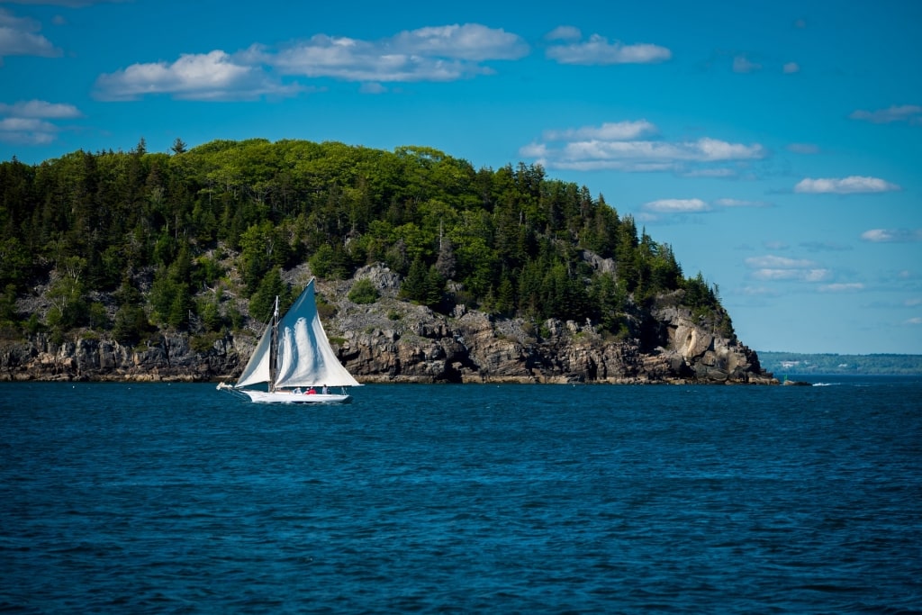 View of Frenchman Bay while kayaking