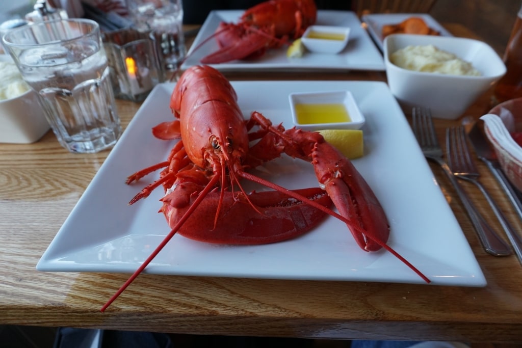 Lobster on a plate