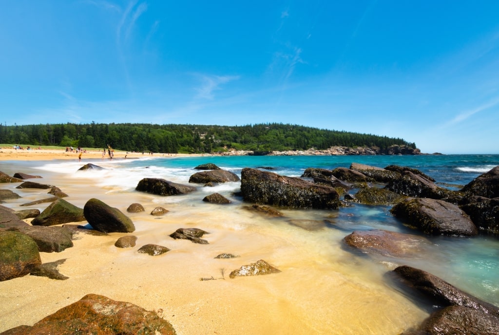 Golden sands of Sand Beach in Acadia National Park