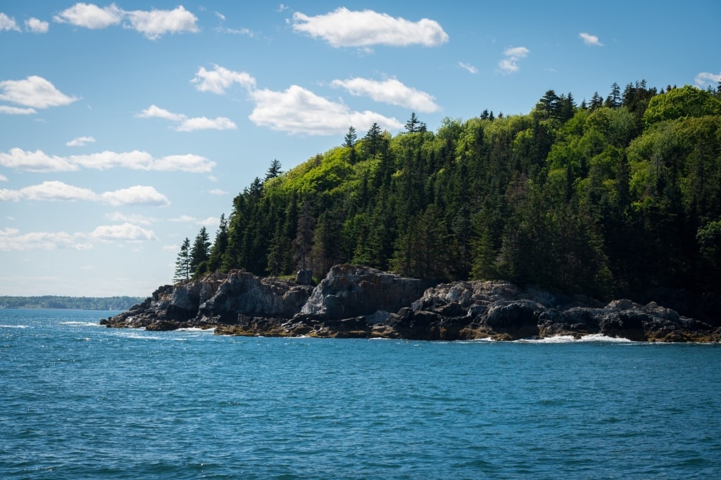 Lush landscape of Schooner Head