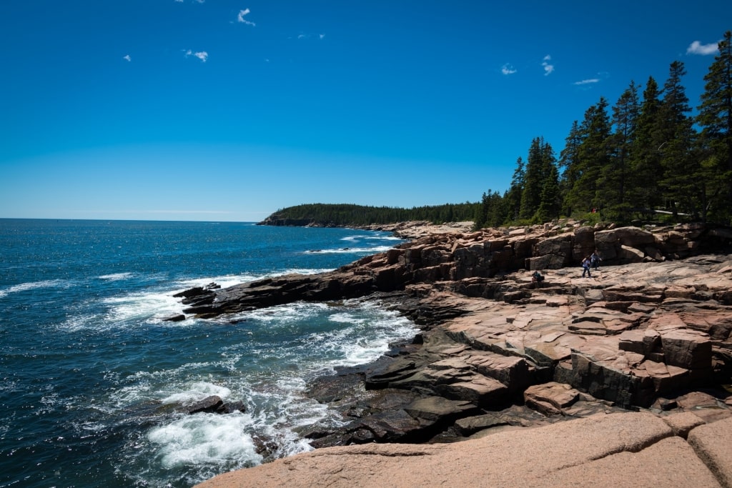 Rocky coastline of Acadia National Park