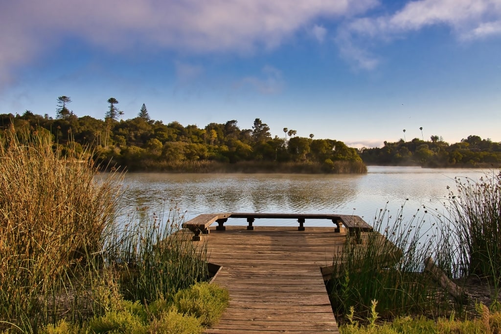 Lush landscape of Andree Clark Bird Refuge with view of the water