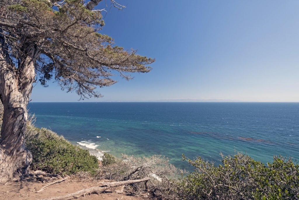 View from the Douglas Family Preserve