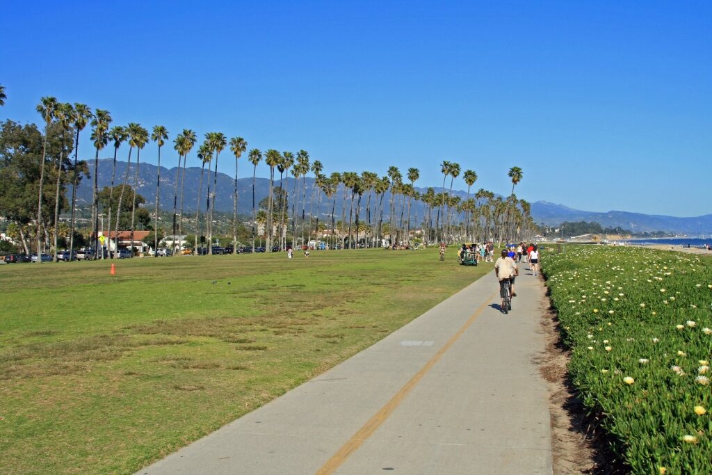 People biking along Stearns Wharf