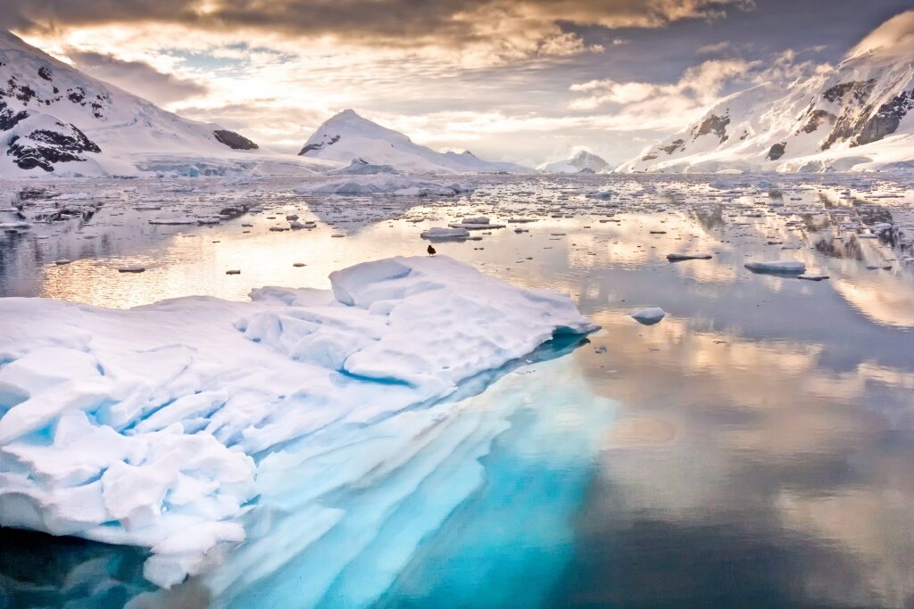 Icy waters of Paradise Bay in Antarctica