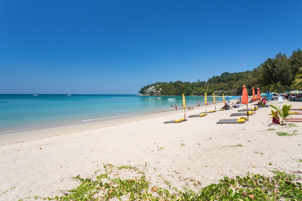 Umbrellas lined up on Kamala Beach