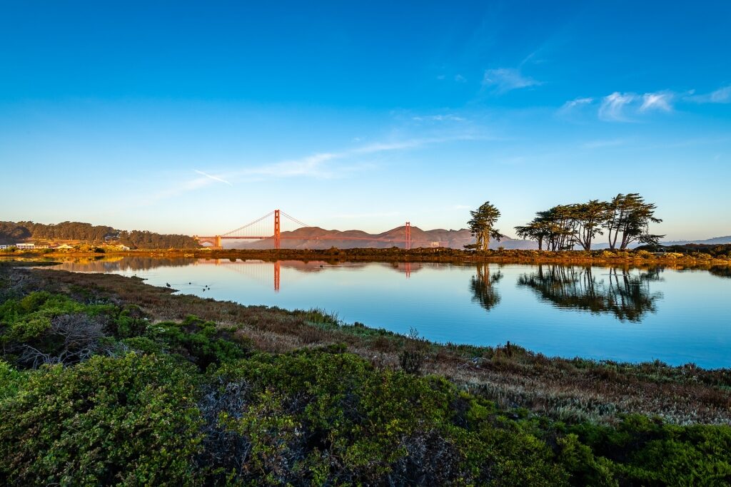 Lush landscape of Crissy Field Marsh with view of the water