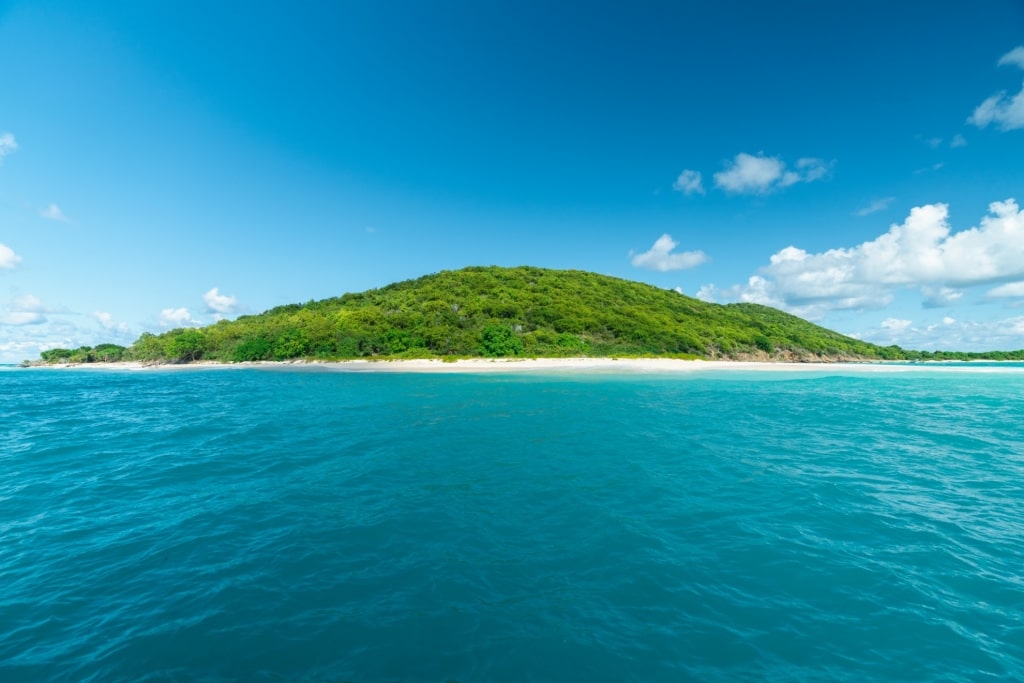 Landscape view of Buck Island