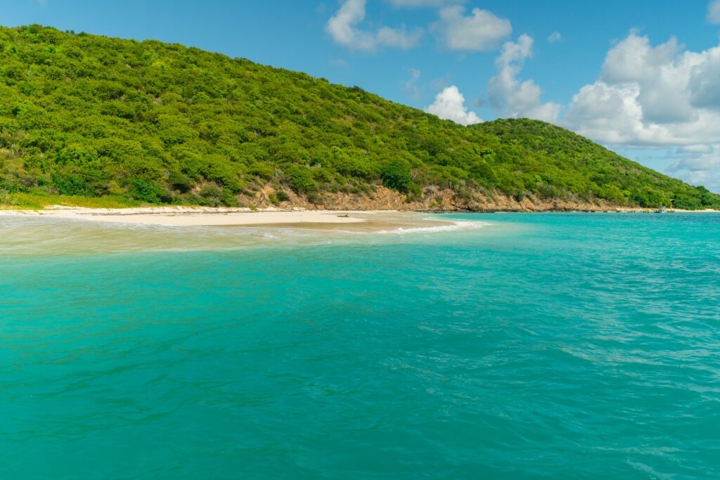 Lush landscape of Buck Island Reef National Monument, St. Croix