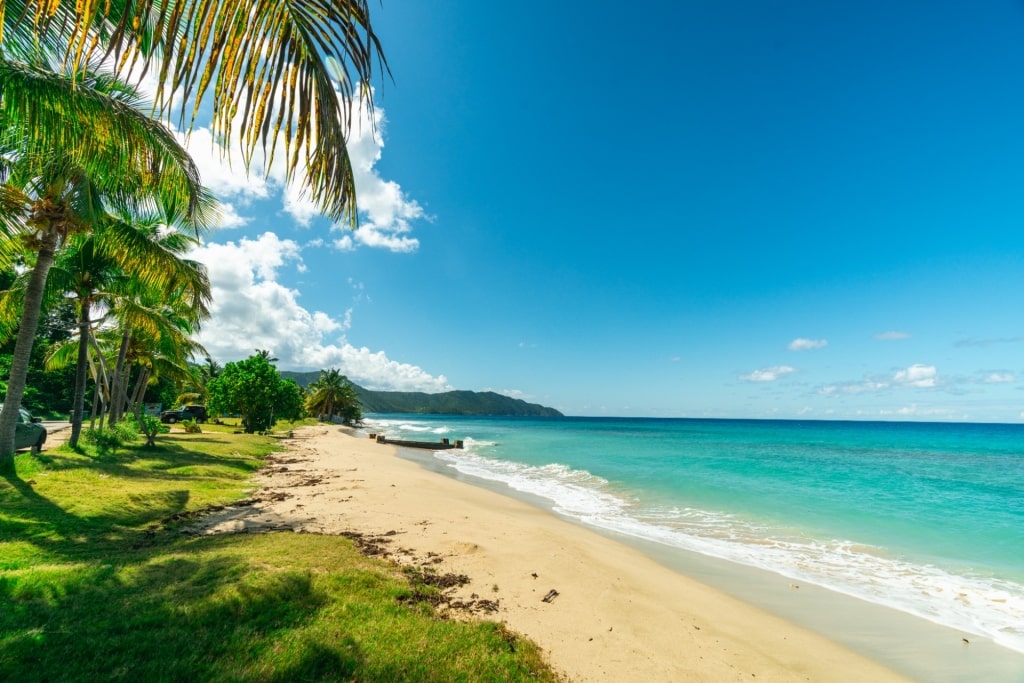 Cane Bay Beach, one of the best beaches in US Virgin Islands