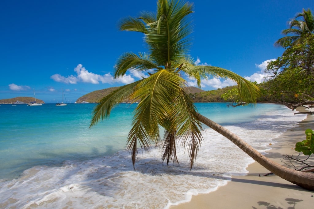 Calm waves of Maho Bay Beach, St. John