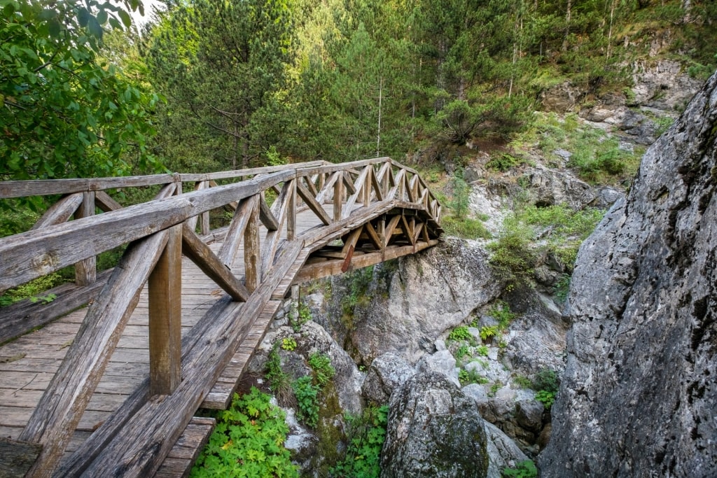 Iconic wooden bridge in Prionia trail in Thessaloniki, Greece