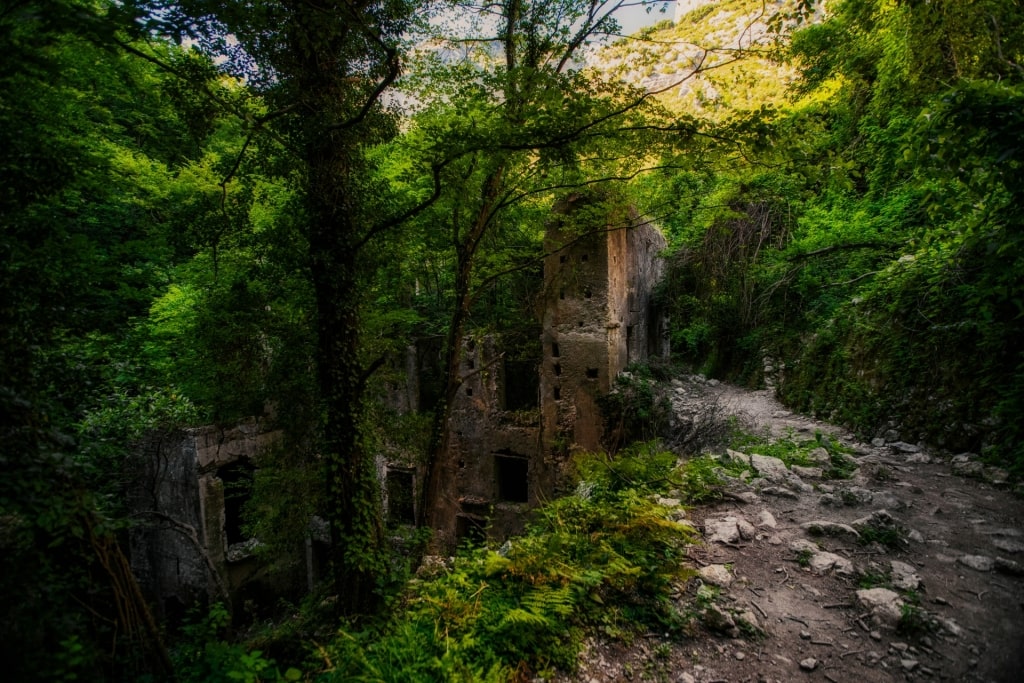 Lush hiking trail in Valle de Ferriere in Amalfi Coast, Italy