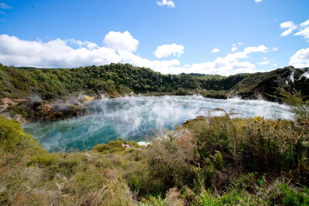 Greenery around the Frying Pan Lake, New Zealand