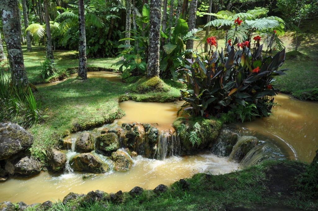 Lush gardens of Parque Terra Nostra, Azores, Portugal 