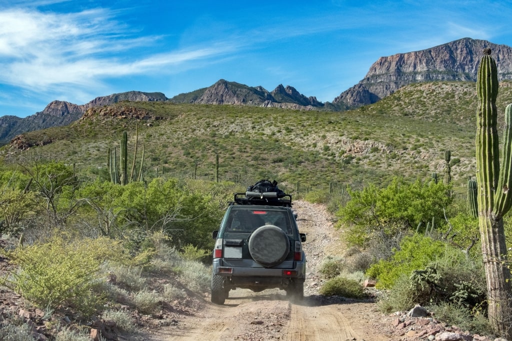 UTV ride, one of the best things to do in Cabo