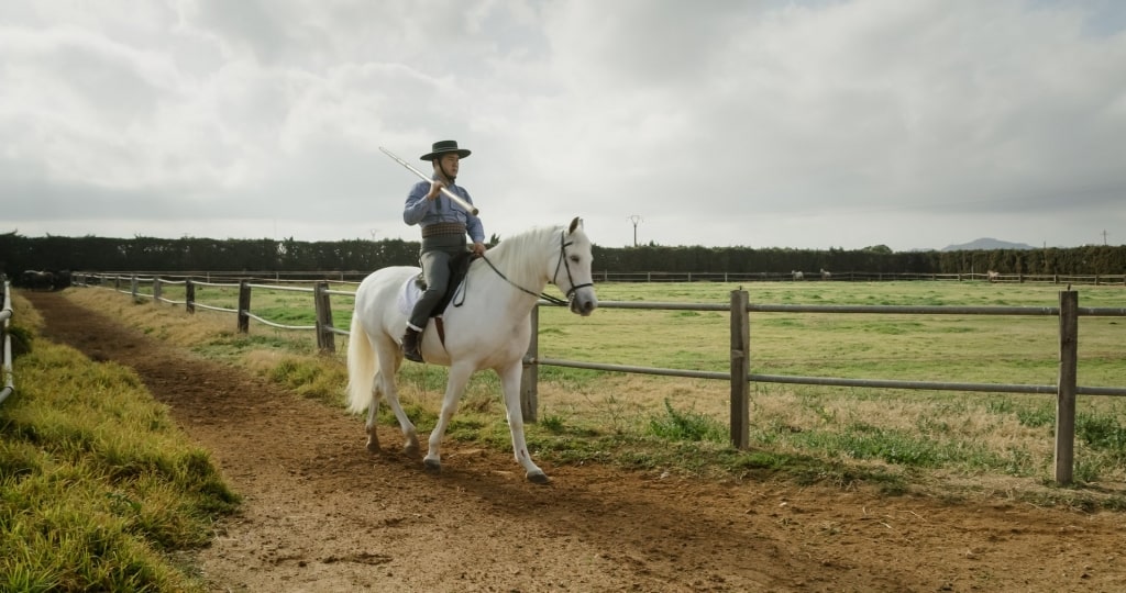 Man riding a horse at the Conesa Stud Farm