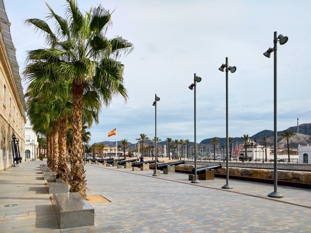 Naval Museum of Cartagena with trees lined up