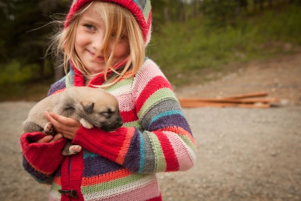 Kid cuddling a puppy at Husky Homestead, Denali National Park