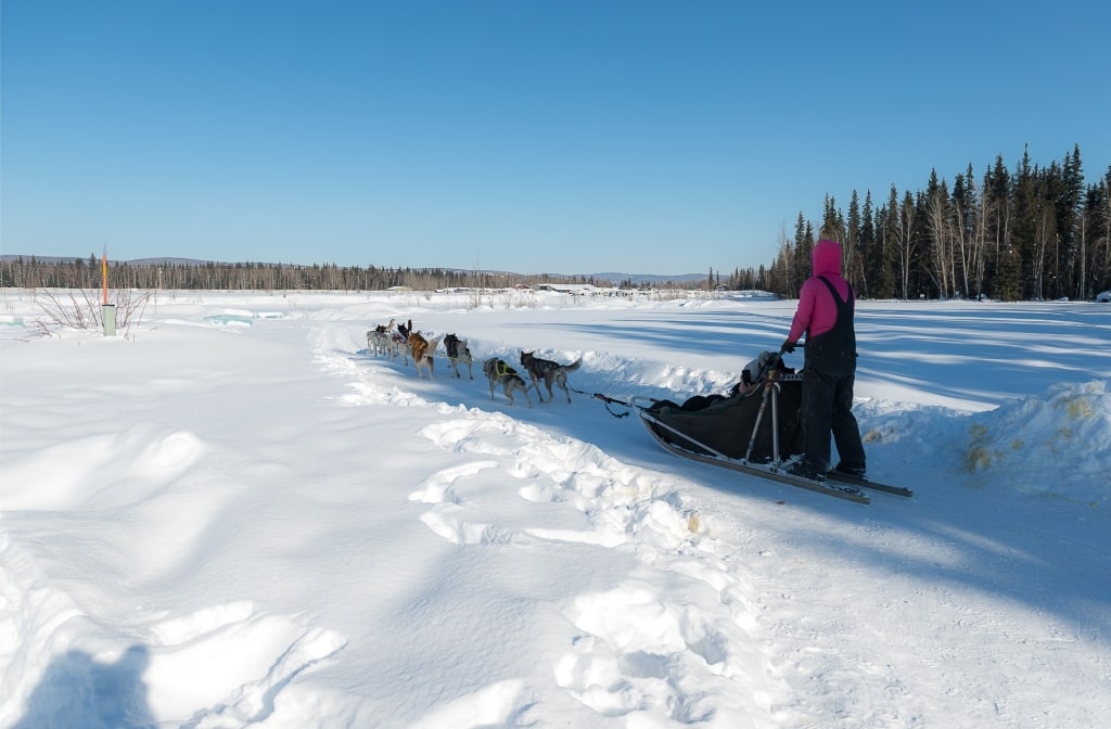 People wearing thick winter clothing while dog sledding in Alaska