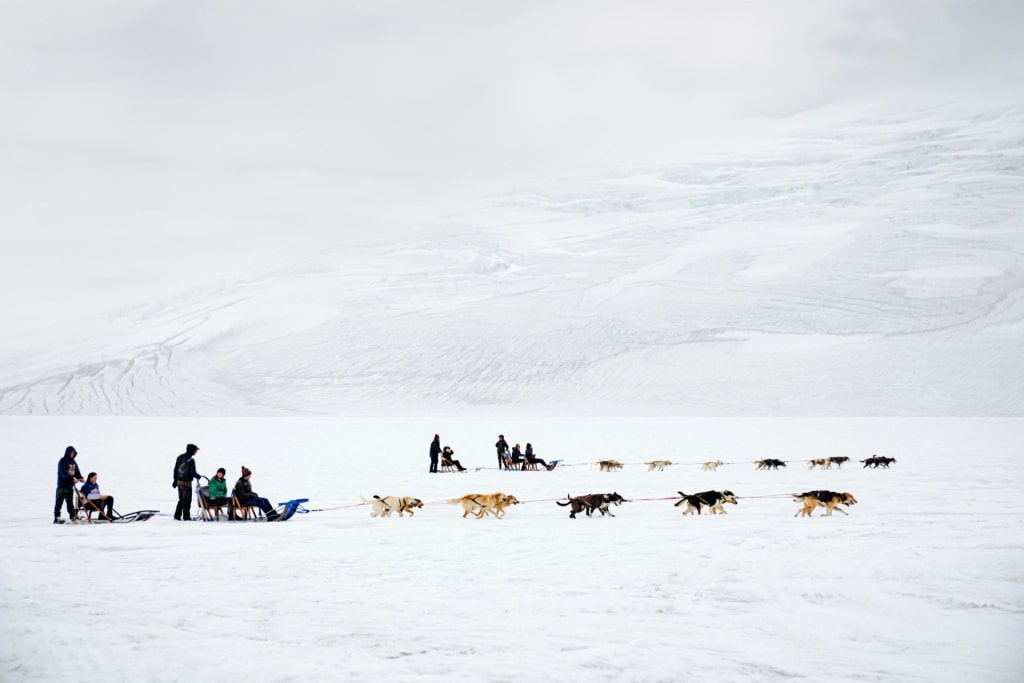 People dog sledding in Alaska during winter