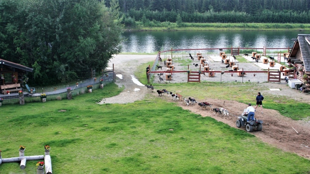 Huskies at Trailbreaker Kennel, Fairbanks