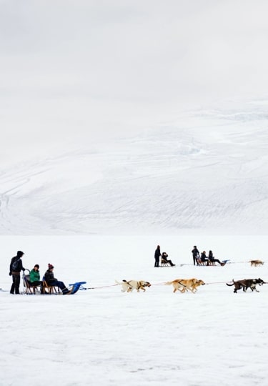 People dog sledding in Alaska