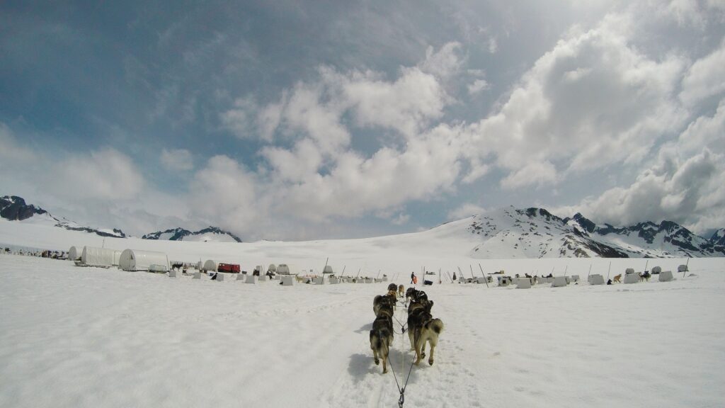 View while dog sledding in Alaska